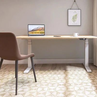 Adjustable Sit Stand Desk best