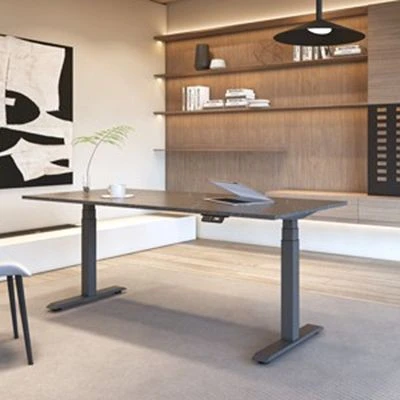 Adjustable Sit Stand Desk high quality