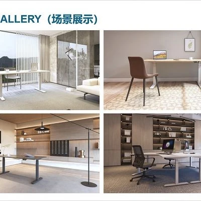 Adjustable Sit Stand Desk suppliers