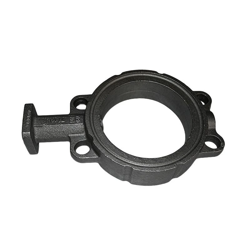 Iron Valve Body factory