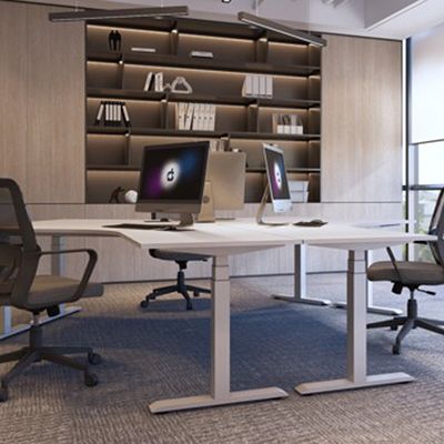 Adjustable Sit Stand Desk