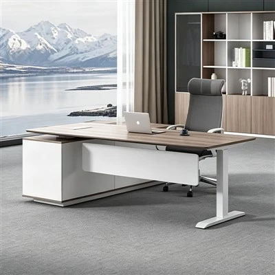 Dual Motor Executive Desk