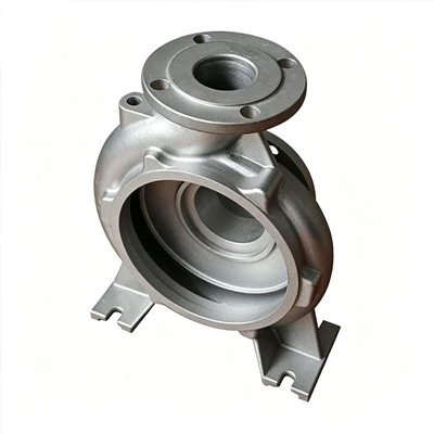 Iron Pump Housing