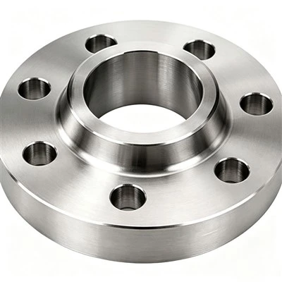 Stainless Forged Flange