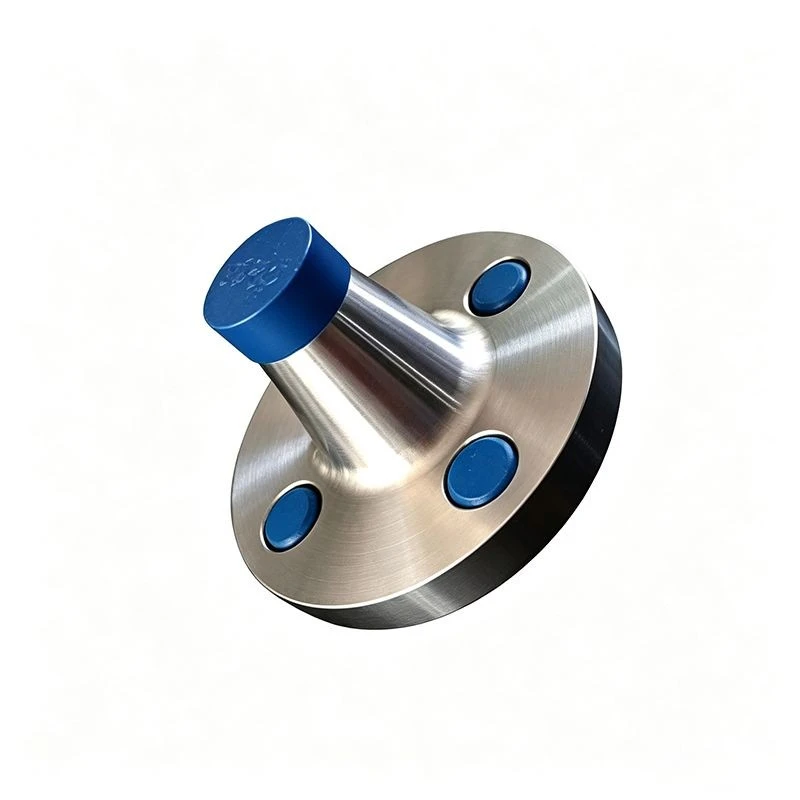 Stainless Forged Flange high quality